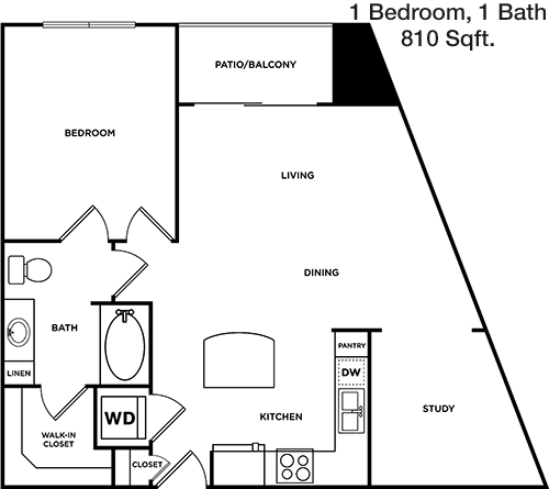 810 sq ft floorplan layout