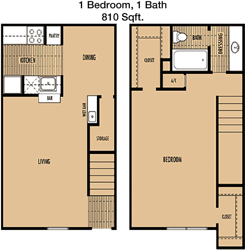 810 sq ft floorplan layout