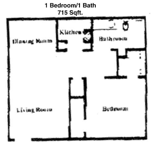 715 sq ft floorplan layout