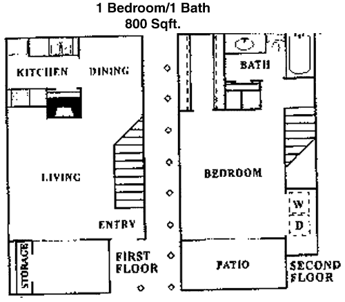 800 sq ft floorplan layout
